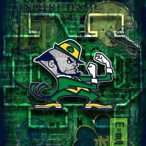 Meet your Posher, Curtis